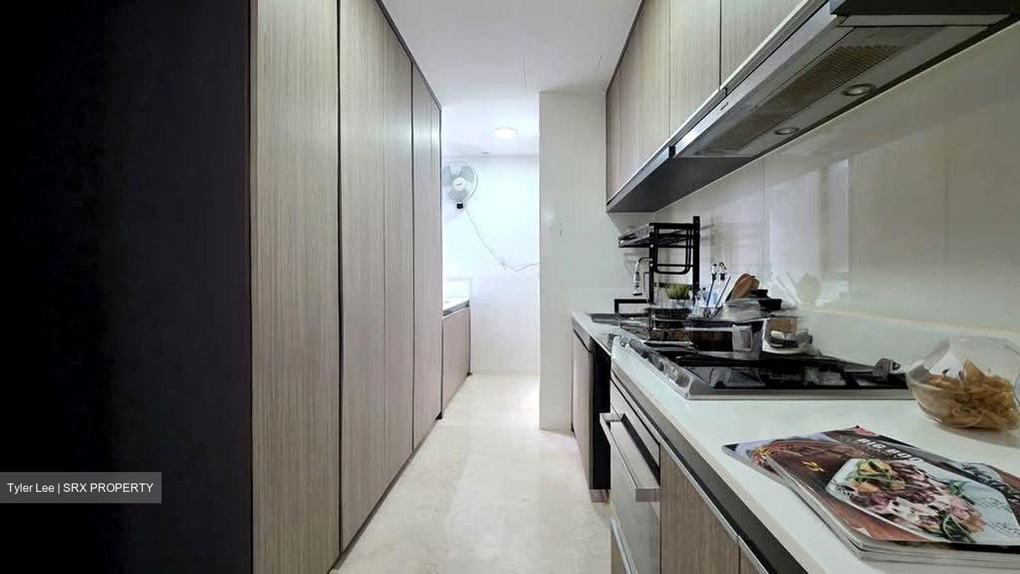 The Trizon (D10), Condominium #585636221